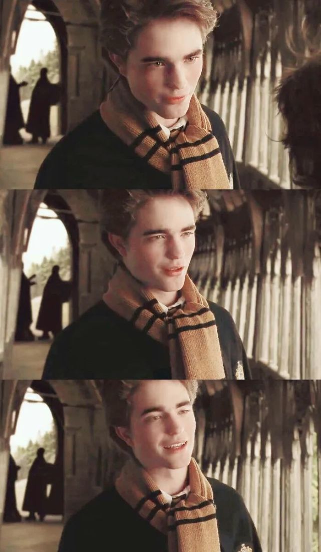 另一位,是《神奇动物在哪里》的男主纽特·斯卡曼德,也是赫奇帕奇学院