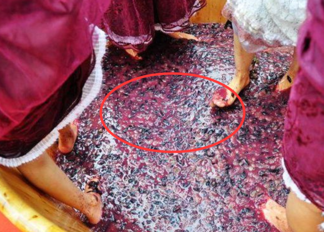 4种用"脚踩"出来的食物,每个人都吃过,第一个深受国内外喜爱