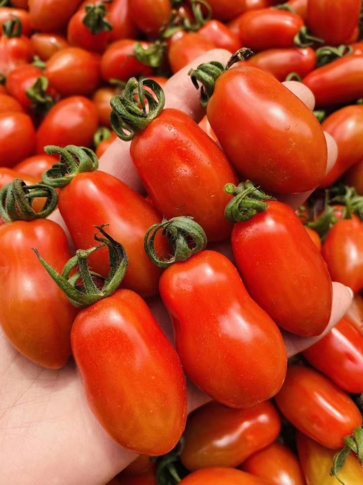 原来这就是花生柿子?终于长见识啦!_腾讯新闻