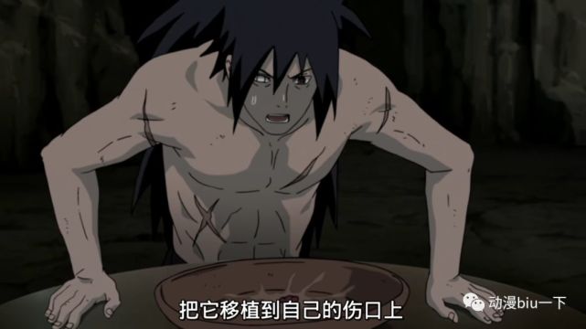 黑绝才是真正的忍者和其他人比起来黑绝真的是太能忍耐了