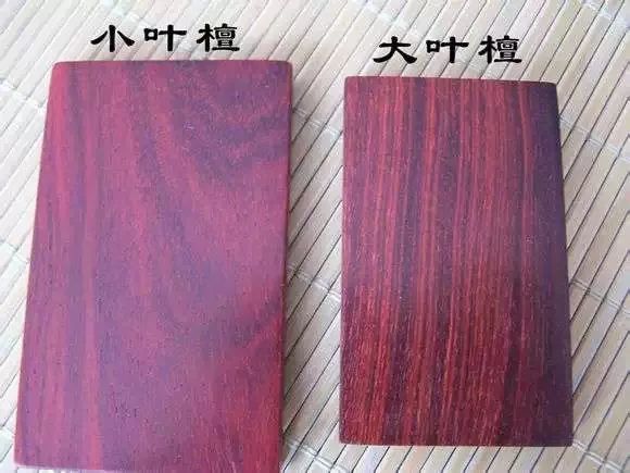 教你一眼分辨"大叶紫檀"与"小叶紫檀"