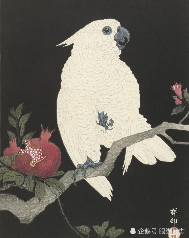 花鸟画就是画画小动物 日本画家小原古邨的情 趣 气 腾讯新闻