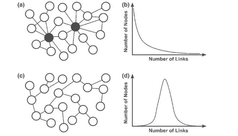 什么是无标度网络