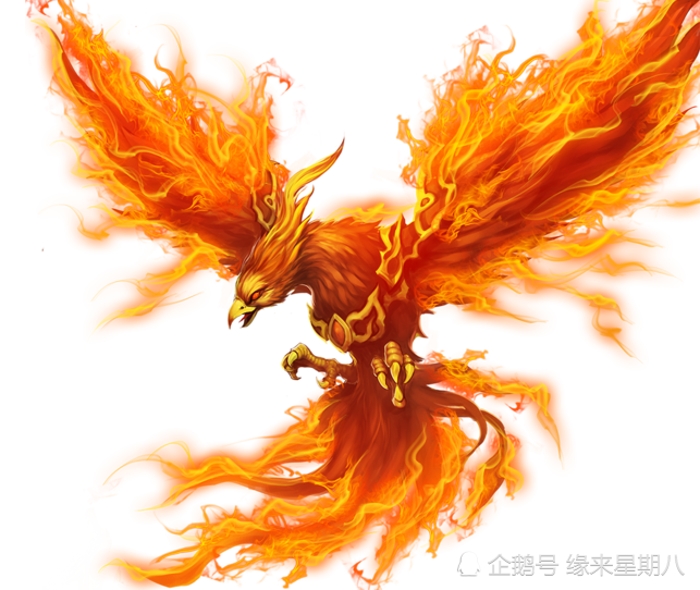 凤凰 朱雀 不死鸟是同一种神兽吗 很多人都搞错了 真相在这里 腾讯新闻