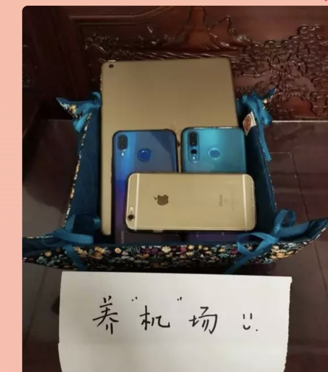 盛福实验小学建起"养机场,力行"众厨芳!