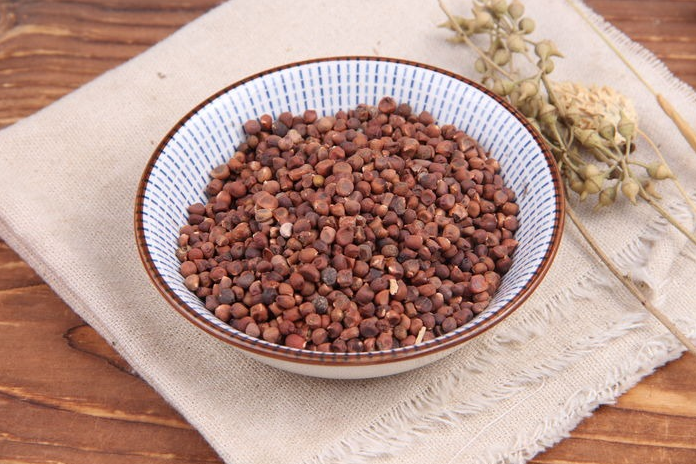 每天学一味中药,马蔺子!