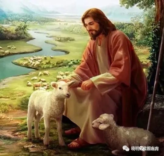 在今天的《福音》中,耶稣所说的"羊的门"是有其背景的.