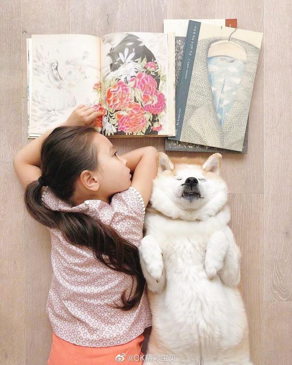 法国混血小姑娘与柴犬形影不离 好暖心