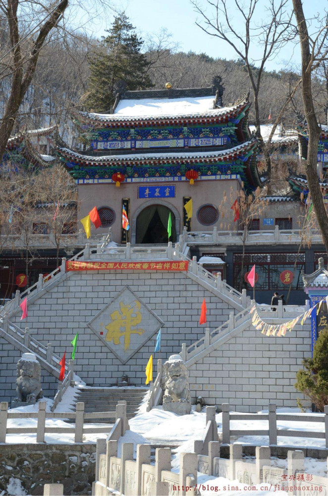 今生誓与赏花为好度一场人世清欢