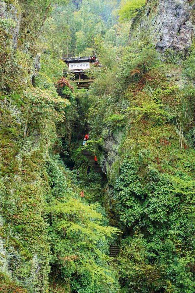 遇见桃花源奉家山古桃花源景区