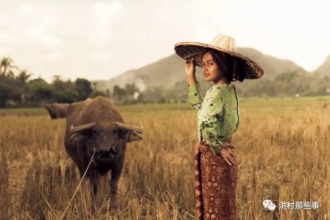 知青岁月—放牛