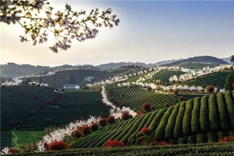 余庆各景区景点结合实际,已制定流量管控预案,安全应急预案,严格执行