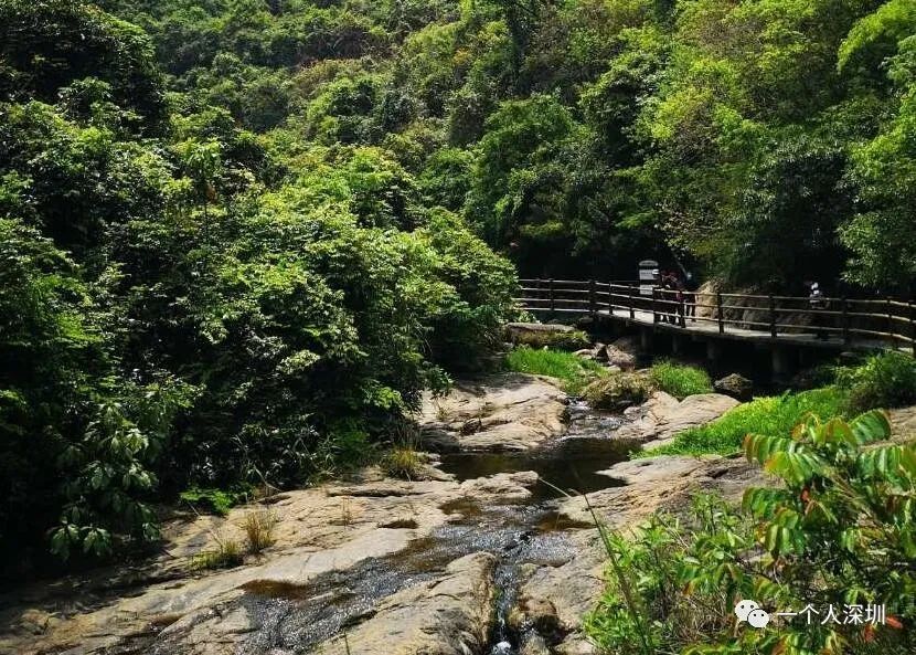 馬巒山郊野公園碧嶺入口線路