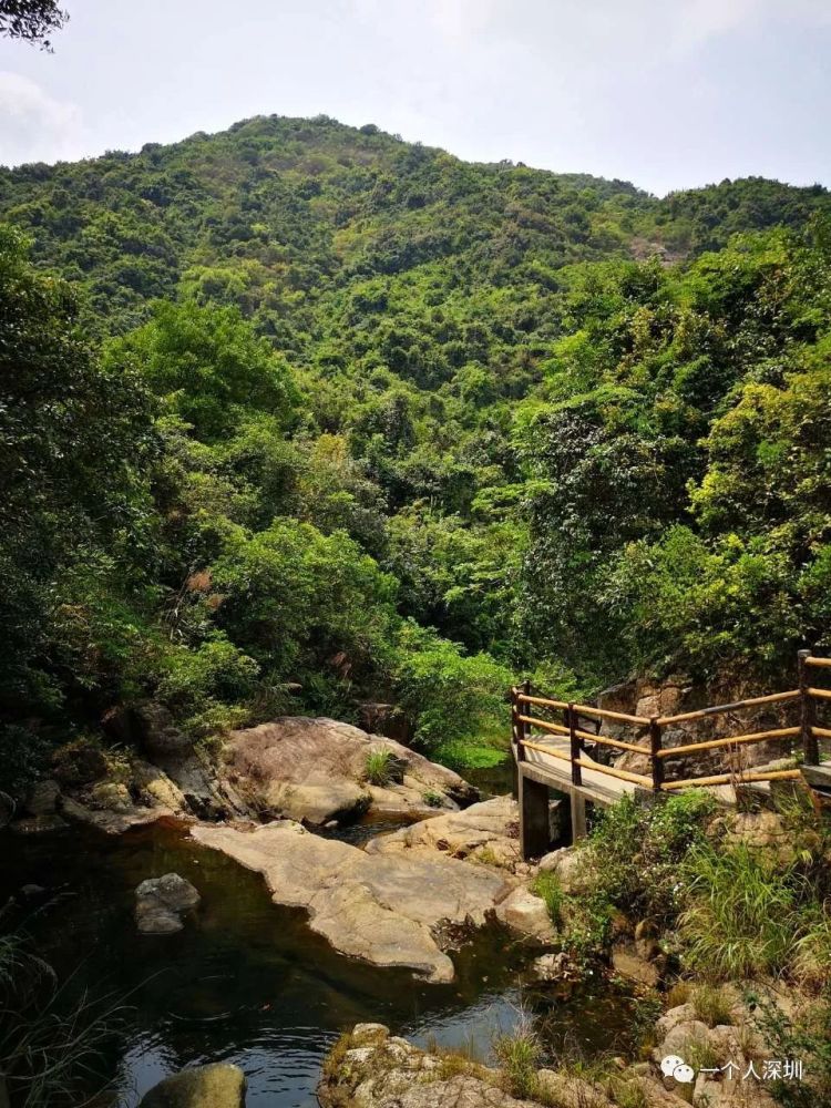 馬巒山郊野公園碧嶺入口線路