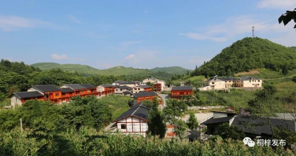 桐梓人,五一节,来一场说走就走的乡村游吧!