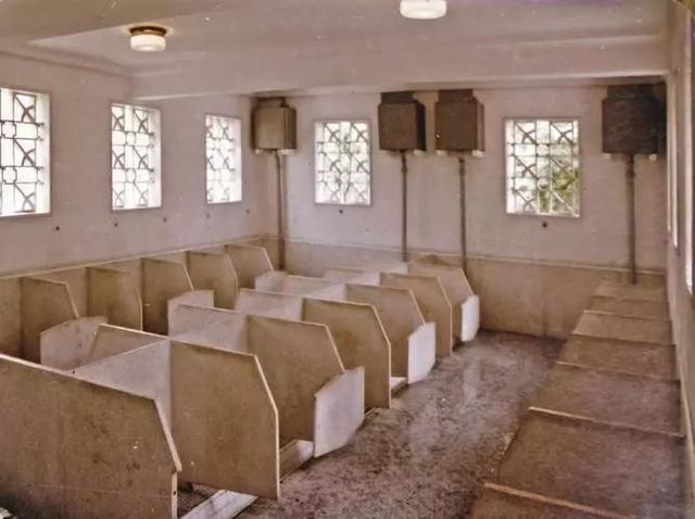 老式公共厕所这些乌龟引来了许多围观的市民,也惊动了专家.