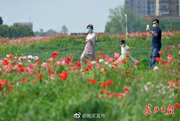 漫步丛林花海间 腾讯新闻