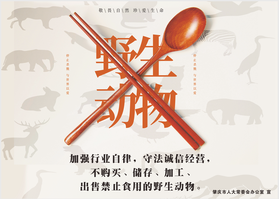 拒绝野味守护健康