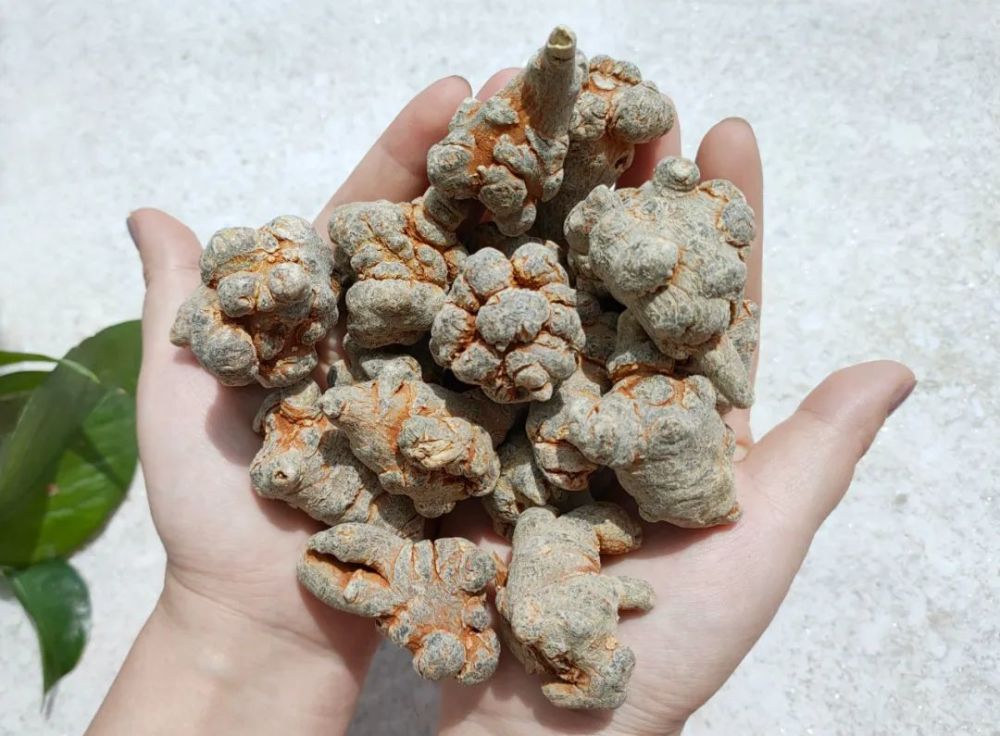 五一来这里,文山春三七59元/斤起