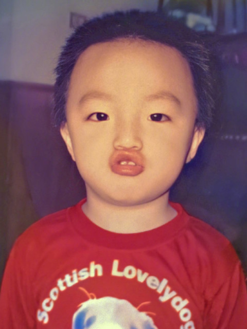 正因为有了陈妈妈的宠爱,陈立农在小时候的笑意才能一直延伸到成长,陈