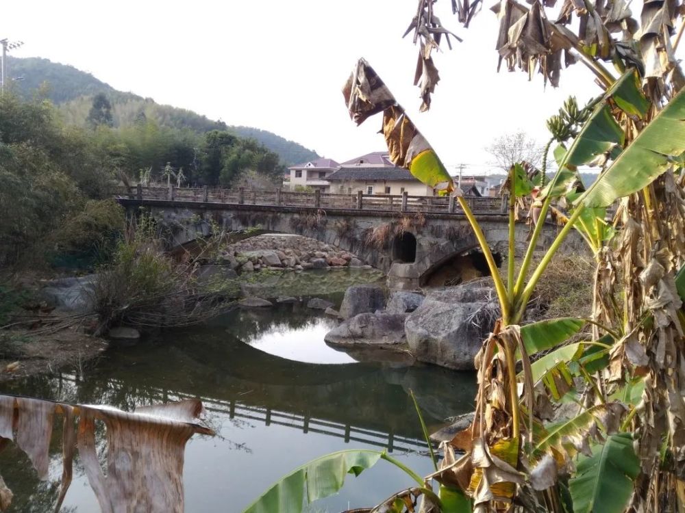 "岩声"第55期—《陈屋村的三座桥》