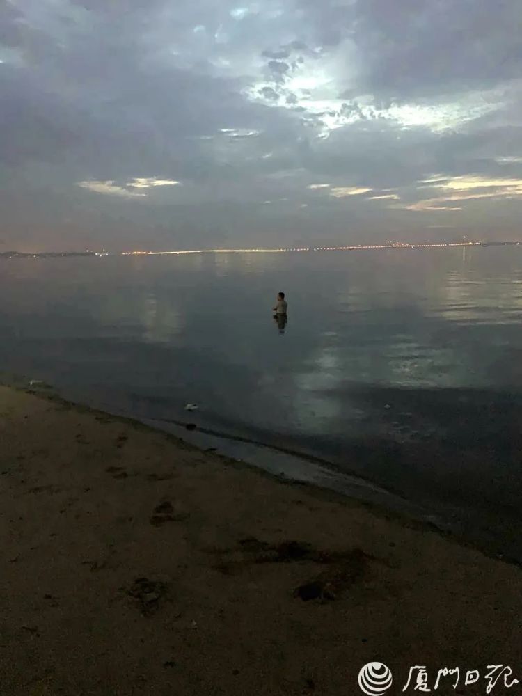 厦门有人跳海自杀!原因令人唏嘘