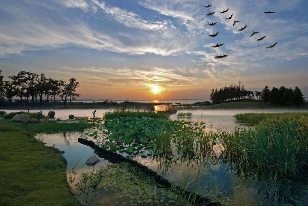 2020中国重点县级市_2019中国全面小康百强县级市名单出炉河南6地上榜