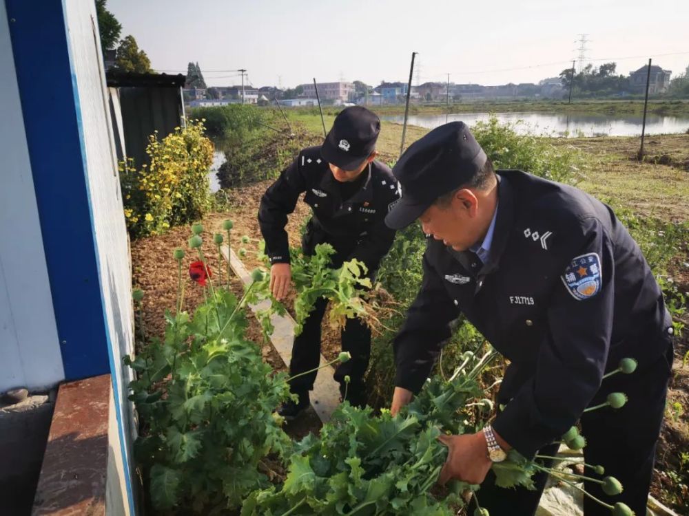 end-素材报送:辖区派出所,治安大队,交警大队审核:宋陆军