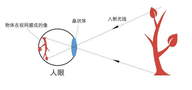 电影院放映3d电影是利用什么原理 详解3d放映技术 腾讯新闻