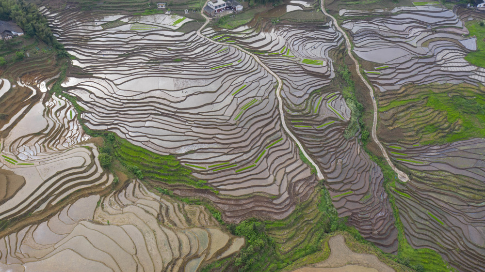 四川珙縣:水潤梯田