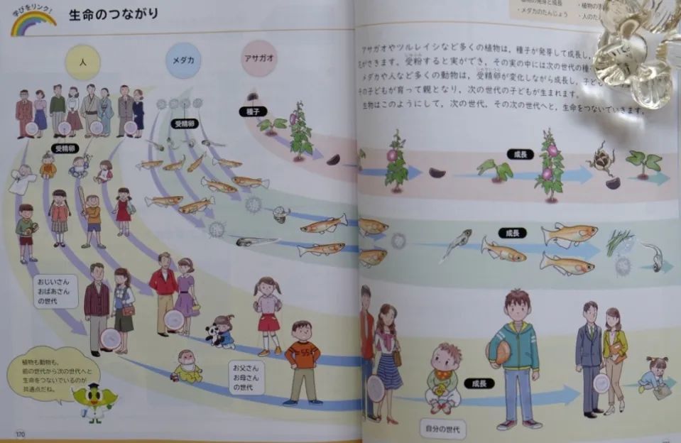 我在日本读小学 看看日本小学生的新课本里都学什么 腾讯新闻