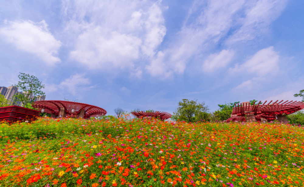 ins风花海惊艳南海五一知道的人还不多快来打卡