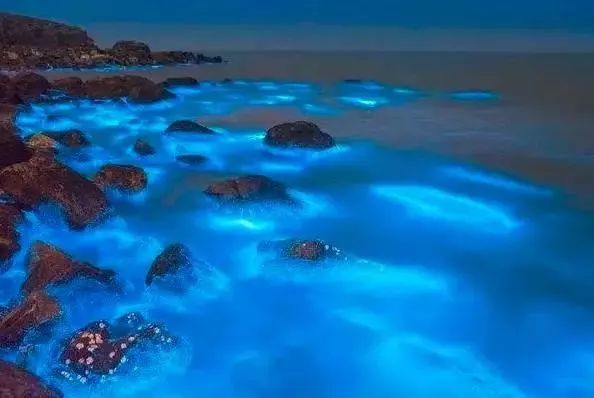 种草│小长假海岛游,"蓝眼泪"的12处海岸线,美到无以复加!