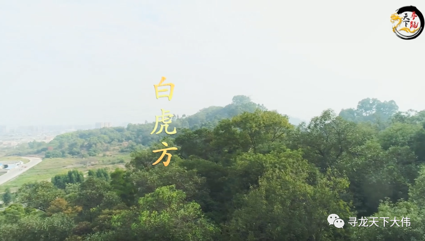 寻龙天下大伟带你去欣赏广东普宁张氏古墓虎形后代是当地的名门望族