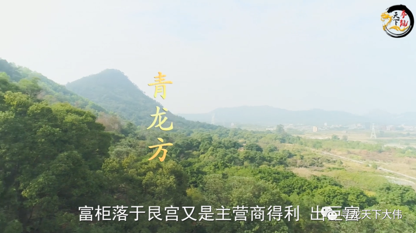 寻龙天下大伟带你去欣赏广东普宁张氏古墓虎形后代是当地的名门望族