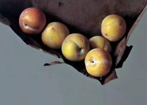 冷军画4个桃子卖67万被质疑无美感放大5倍后专家安静了