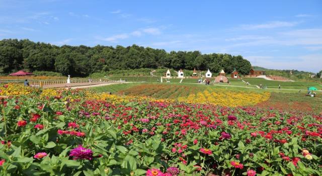 雨母山百萬花海板梁古村,初建於宋末元初,強盛於明清時代,距今有600多