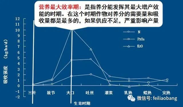 玉米全生长周期施肥方案,种玉米的大户都应该收藏