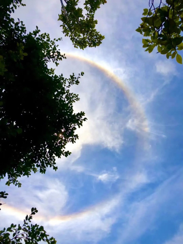 ĮϿճ̫_200145,̫ش̫ҫ߱(_ϴ공̫