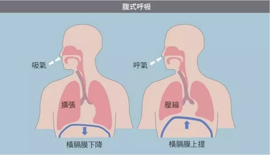 第六讲:用正念的态度进行腹式呼吸练习