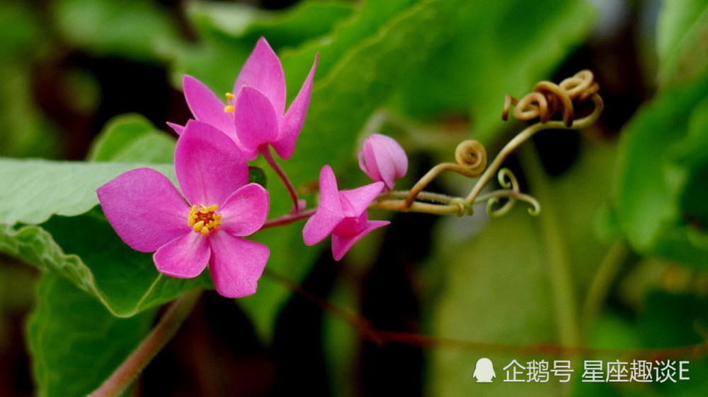 5月4日 10日星座运势 白羊刮目相看 狮子信心十足 天蝎成熟稳重 腾讯新闻