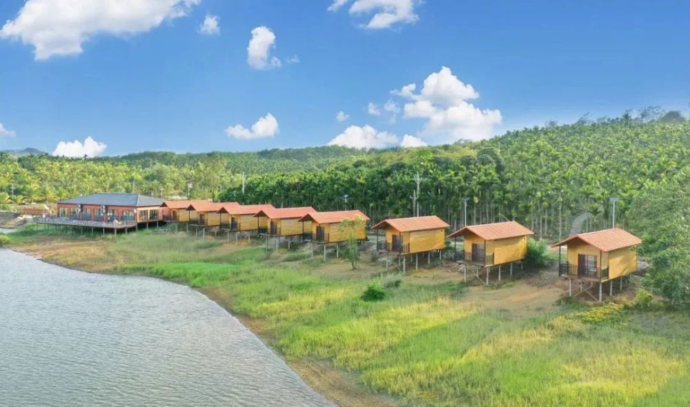 海南日报报道儋州共享农庄激发乡村振兴新动能