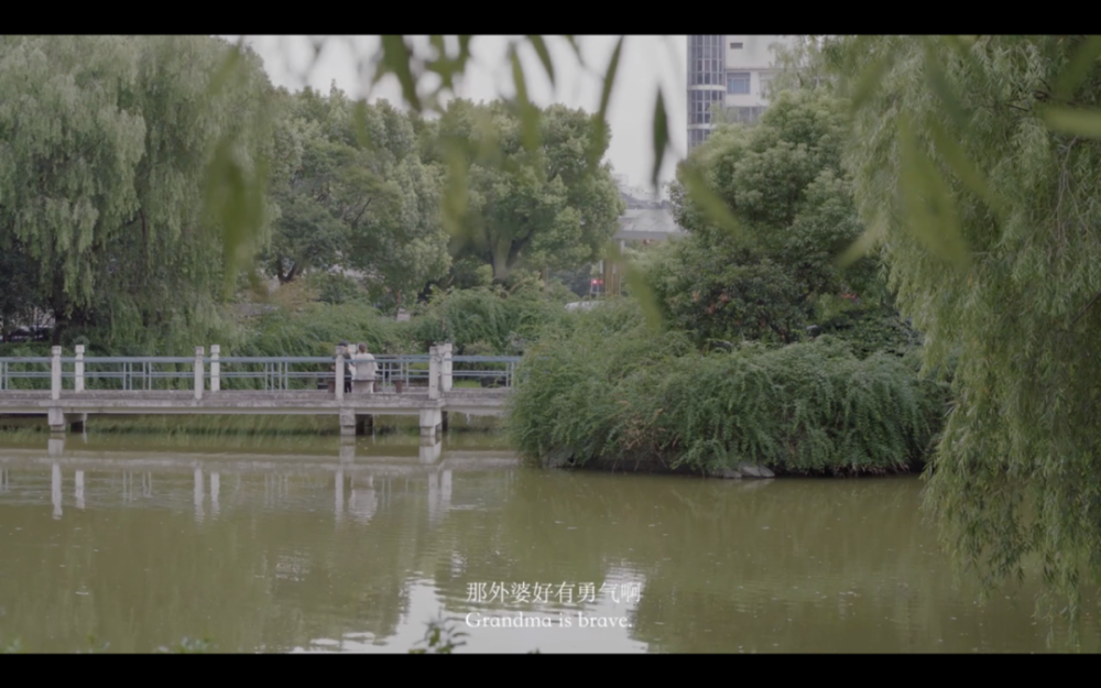 大体老师|“凌晨四点，她去世了”