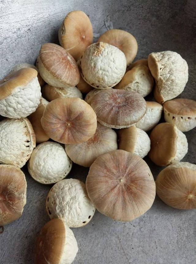 农村此果3年结一次,以前送人都不要,现在却供不应求