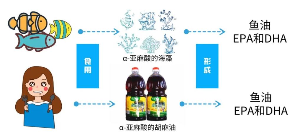 卵磷脂和鱼油每天吃几粒为好_深海鱼油和卵磷脂一天吃几粒_卵磷脂和深海鱼油一天吃多少量