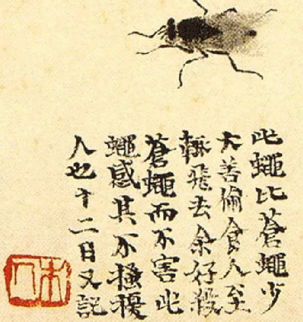 至尊宝曹不兴和齐白石对待苍蝇的不同态度及为它们留下的肖像