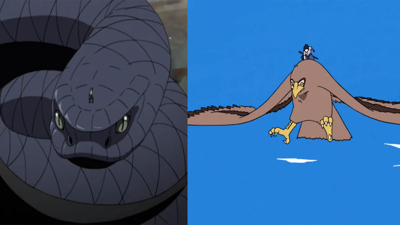 在火影里,没有两种以上的通灵兽,都不好意思说你会通灵术