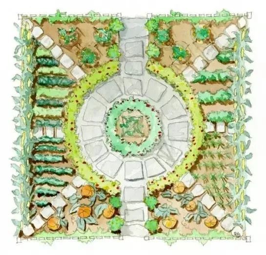 第二种是规则方形,种植池的形状是正方形,每个方格种植一种蔬菜,方便