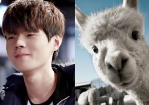 deft的一个外号就叫"羊驼",刚开始还不太明白为啥起了这个名字,现在才