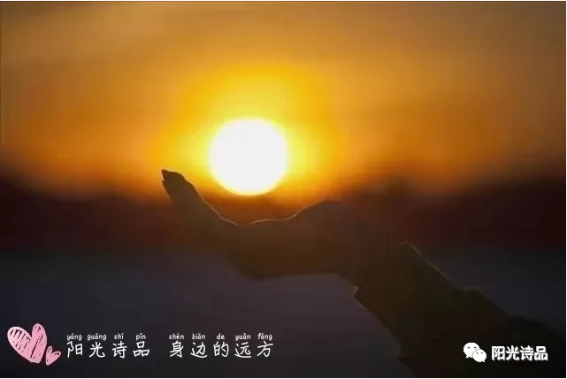 叶紫|似泪珠滴滴清冷【阳光诗品同题第295期】